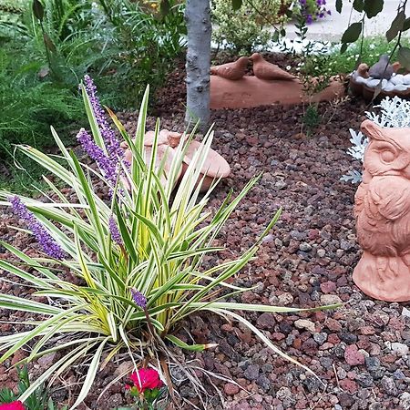 Vila Nel Giardino Di Dafne Stresa Exteriér fotografie